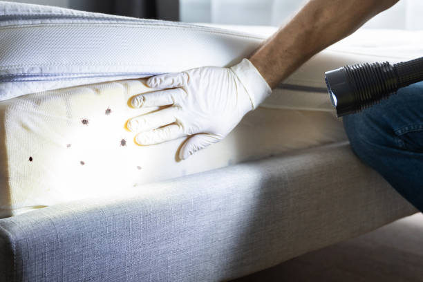 Best Pest Control Treatment  in Tempe, AZ