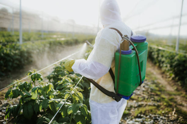 Best Exterminator Services  in Tempe, AZ
